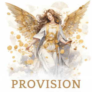 Provision